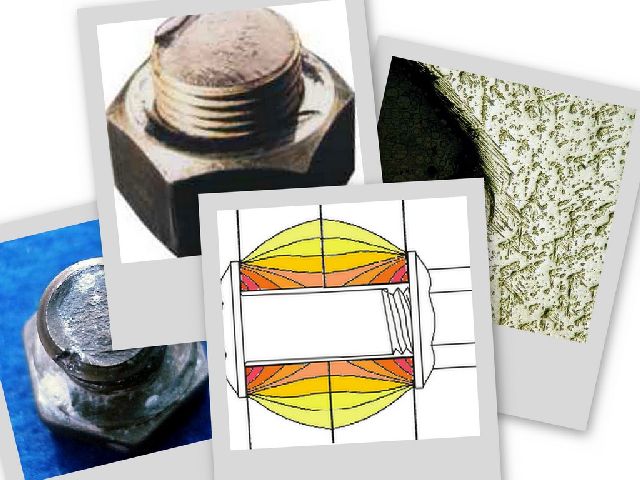 Metserve International